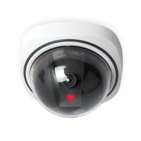 Cameră falsă Bentech Dummy Dome 1