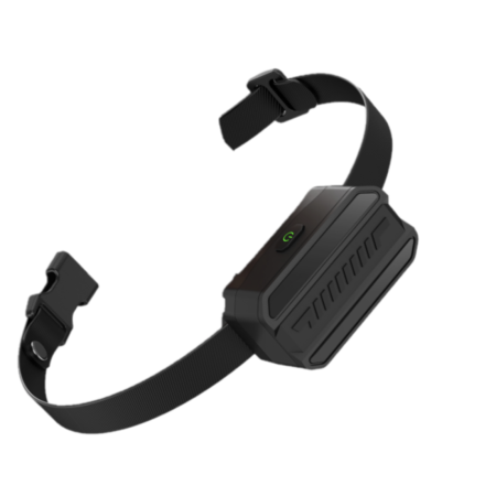 Receptor suplimentar pentru gardul wireless și zgarda de dresaj Bentech X900