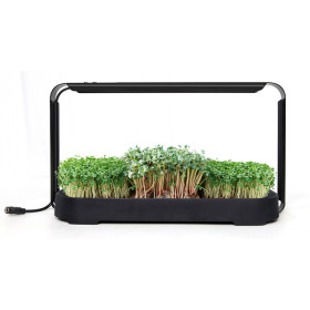 Set pentru cultivarea microplantelor Bentech GreenBoost