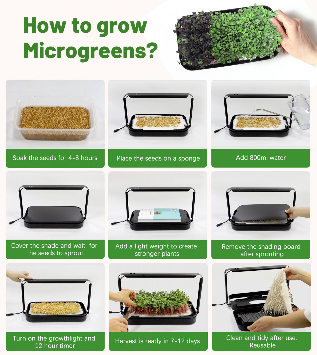 Készlet microgreens termesztéséhez Bentech GreenBoost