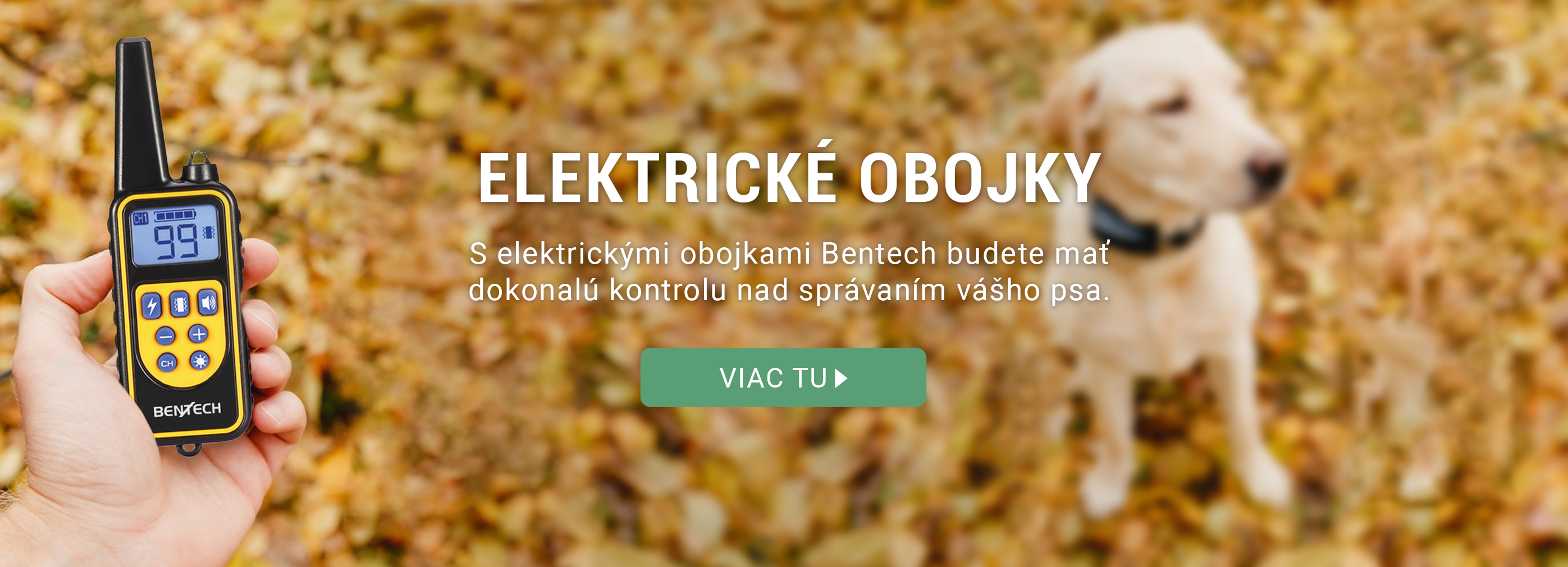 Elektrické obojky