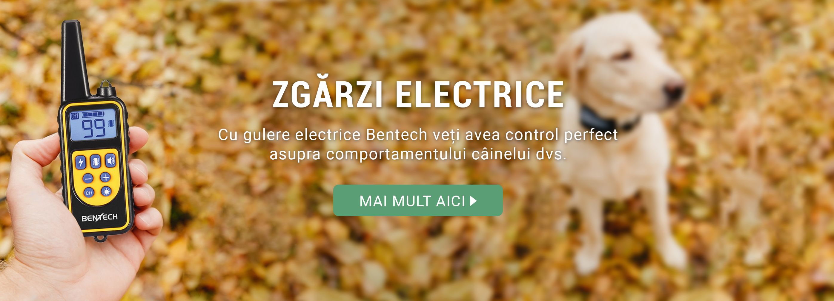 Zgărzi electrice