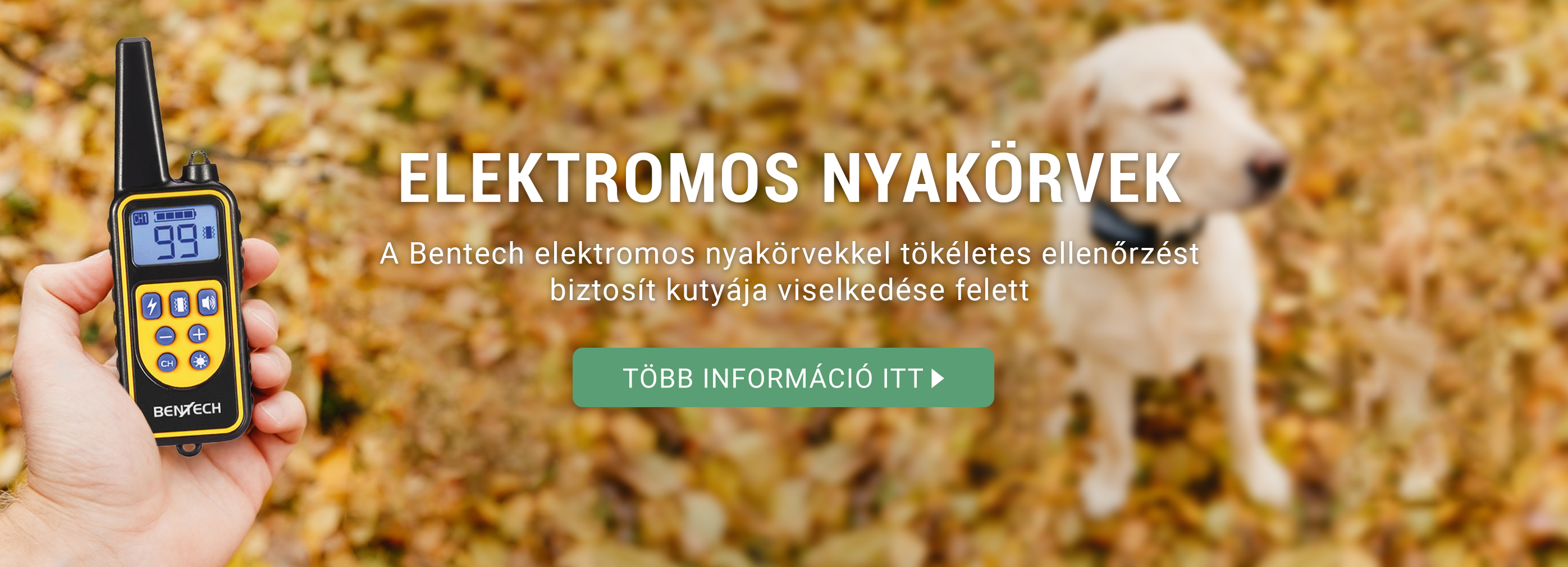 Elektromos nyakörvek