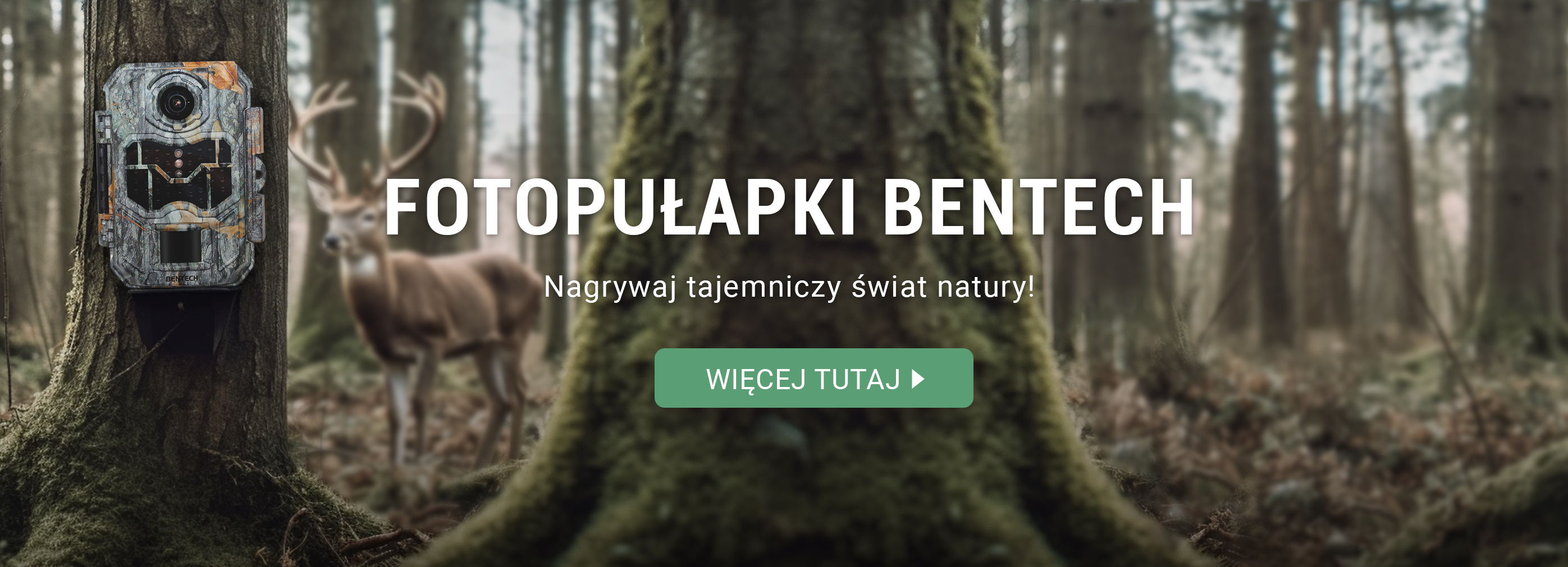 Fotopułapki